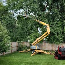 Best Stump Grinding and Removal  in Helmetta, NJ
