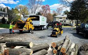 Best Tree Mulching  in Helmetta, NJ