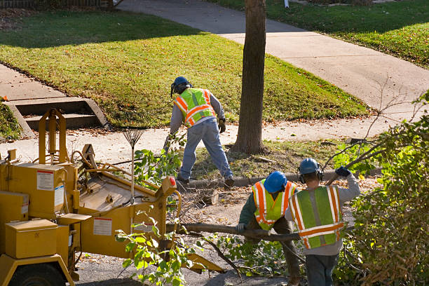 Best Arborist Consultation Services  in Helmetta, NJ